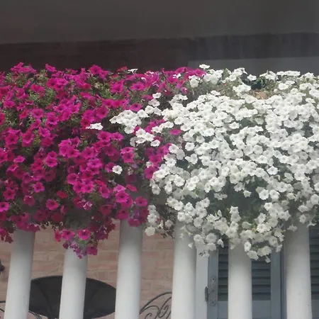 Lo Stellino 4* Siena