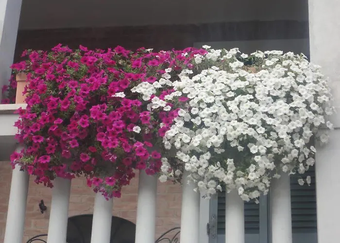 Lo Stellino 3* Siena